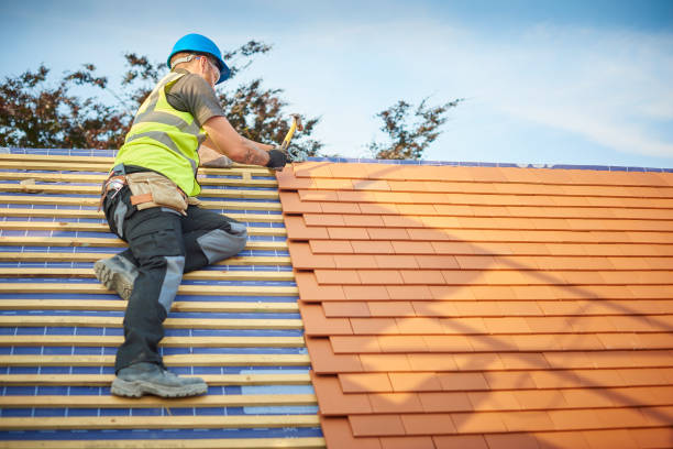 4 Ply Roofing in Bunker Hill, IL